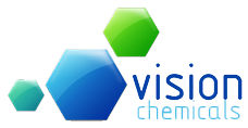 Vision Logo